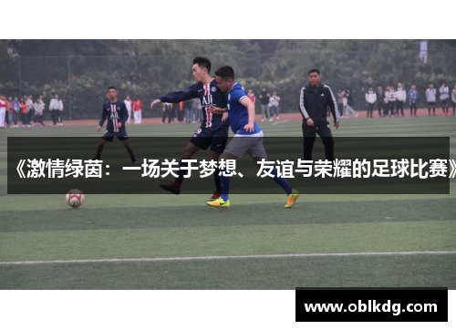 《激情绿茵：一场关于梦想、友谊与荣耀的足球比赛》