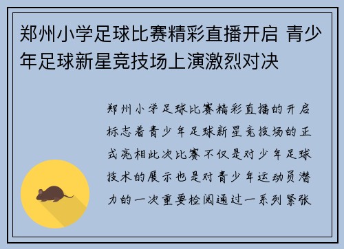 郑州小学足球比赛精彩直播开启 青少年足球新星竞技场上演激烈对决